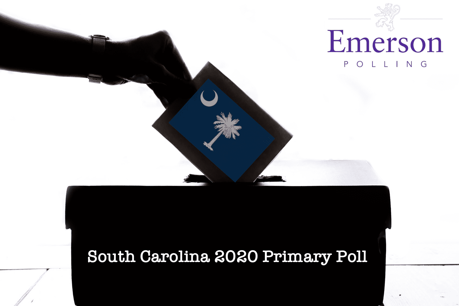 South Carolina 2020 Poll: Biden leads Primary Field by Wide Margin; President Trump Popular with Base