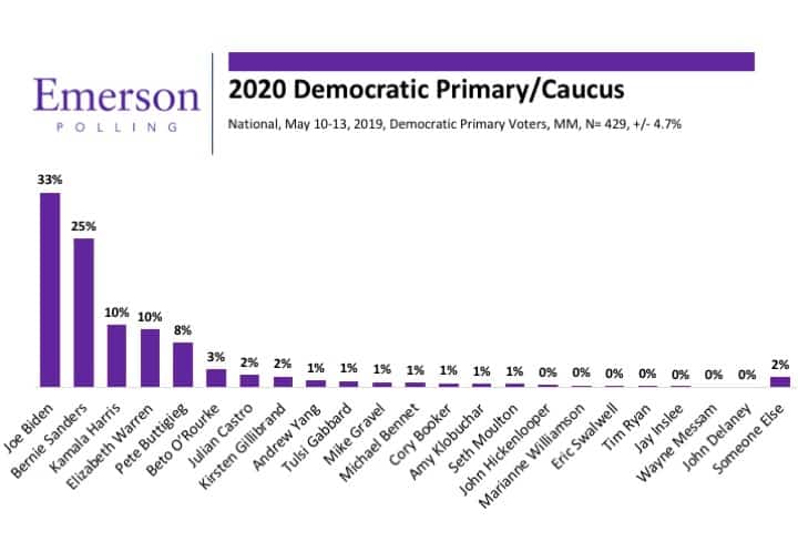 May 2019 National Poll: Biden Back In the Lead for the Democratic Nomination